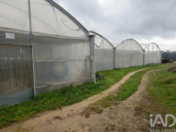 Terreno para Venda em Cerdal