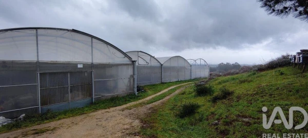 Terreno para Venda em Cerdal