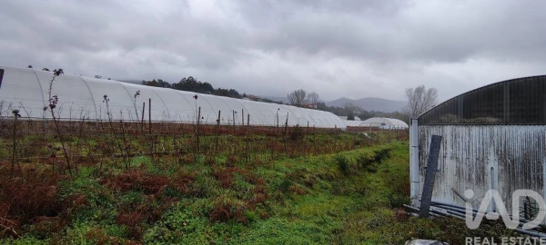 Terreno para Venda em Cerdal