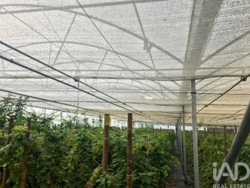 Terreno para Venda em Cerdal