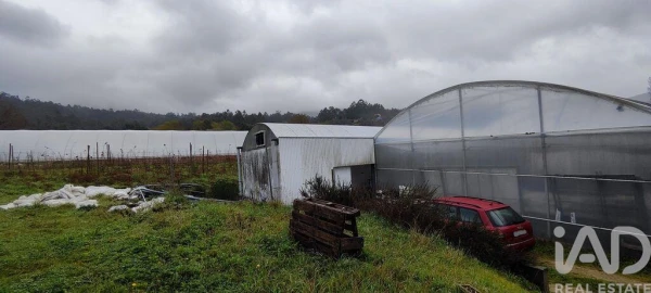Terreno para Venda em Cerdal