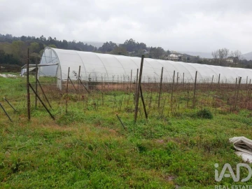Terreno para Venda em Cerdal