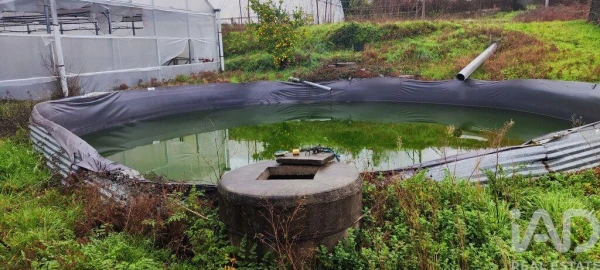 Terreno para Venda em Cerdal