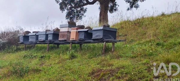 Terreno para Venda em Cerdal