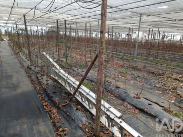 Terreno para Venda em Cerdal