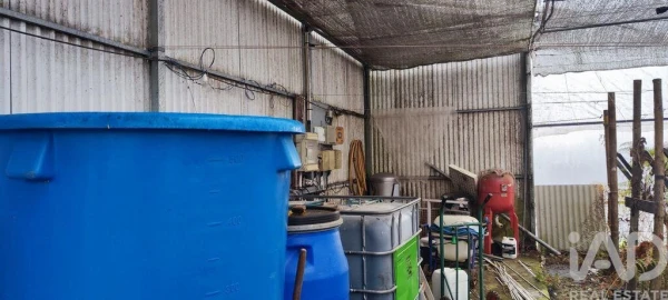 Terreno para Venda em Cerdal
