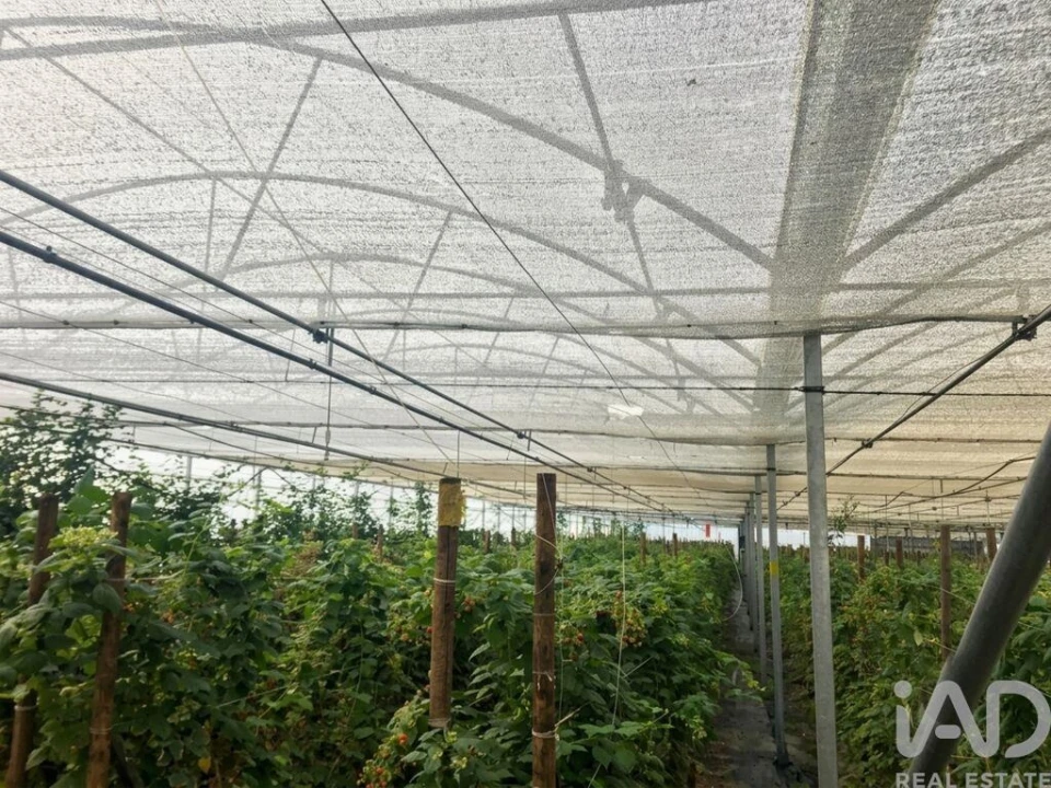 Terreno para Venda em Cerdal Foto 19