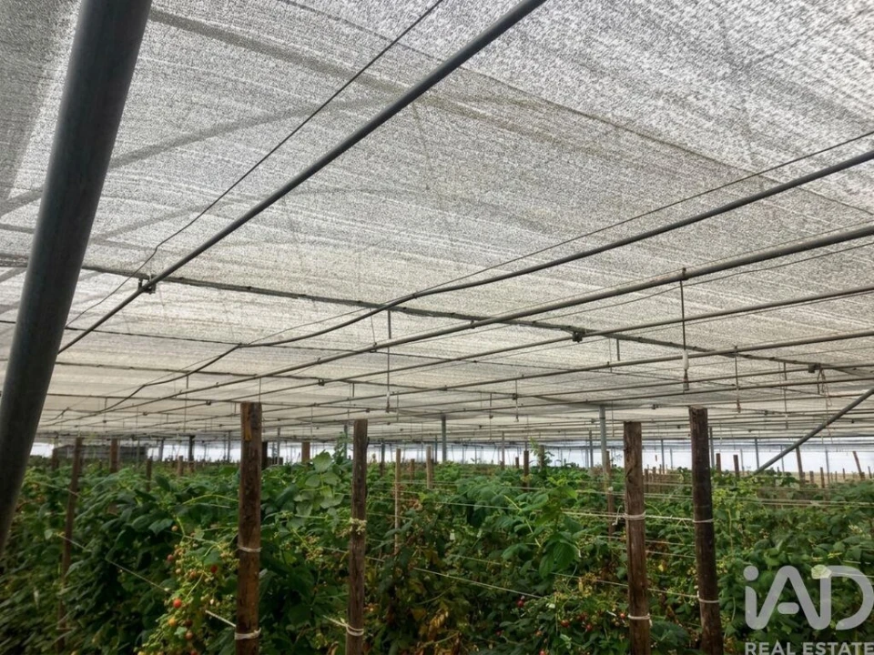 Terreno para Venda em Cerdal Foto 20