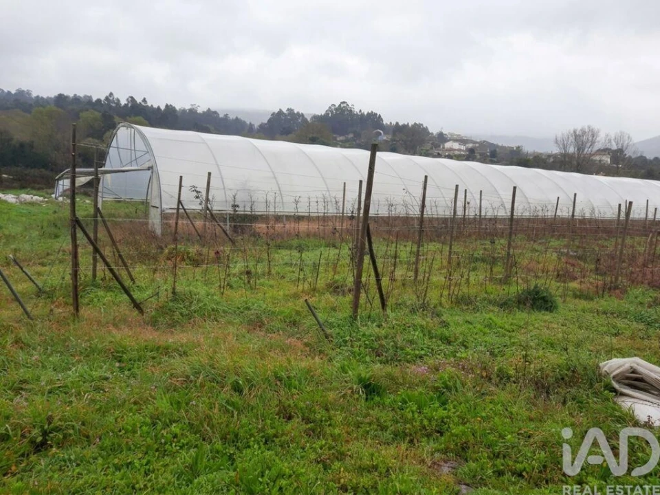 Terreno para Venda em Cerdal Foto 16