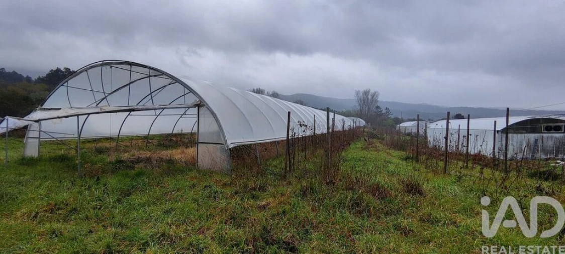 Terreno para Venda em Cerdal Foto 9