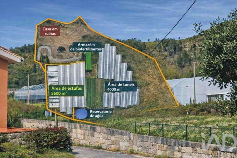 Terreno para Venda em Cerdal Foto 22