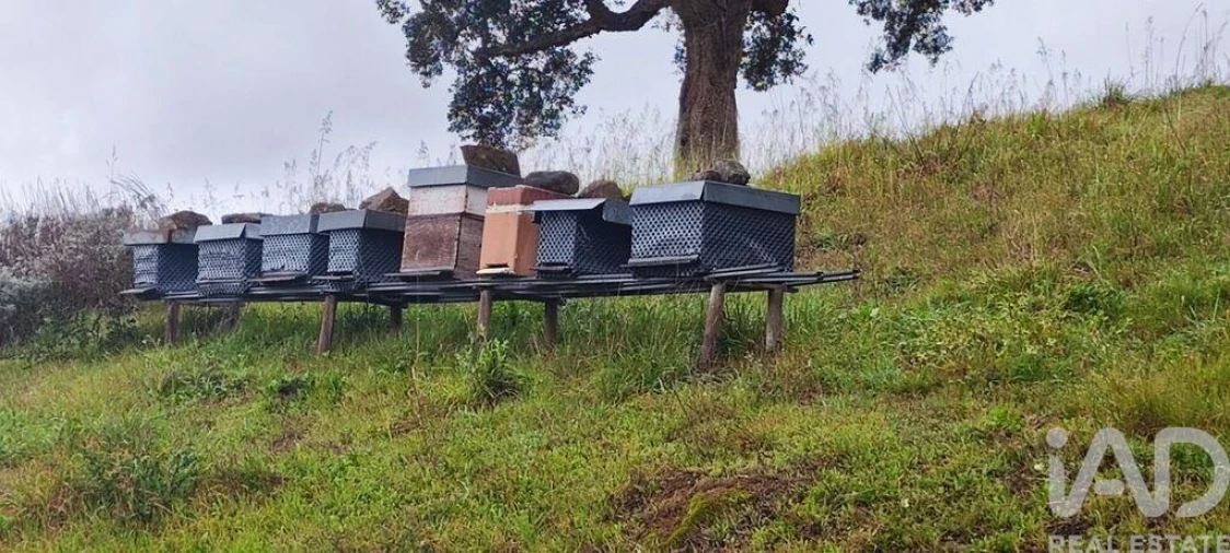 Terreno para Venda em Cerdal Foto 3