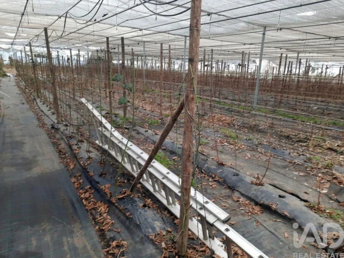 Terreno para Venda em Cerdal Foto 15