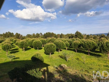 Quinta T5 para Venda em Figueiro da Granja