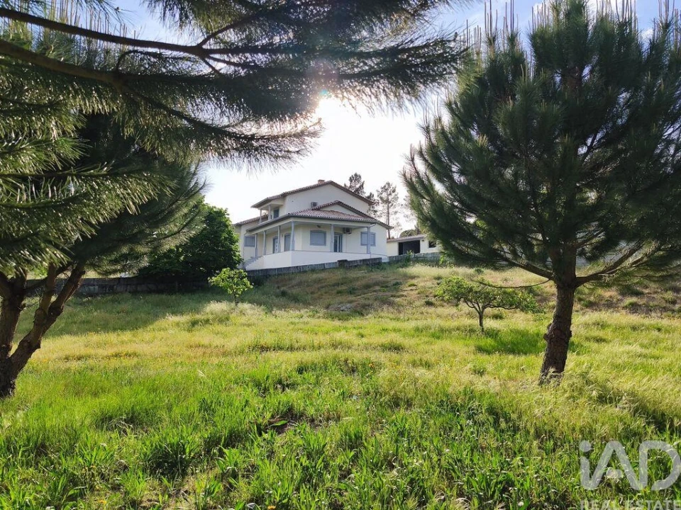 Quinta T5 para Venda em Figueiro da Granja Foto 39