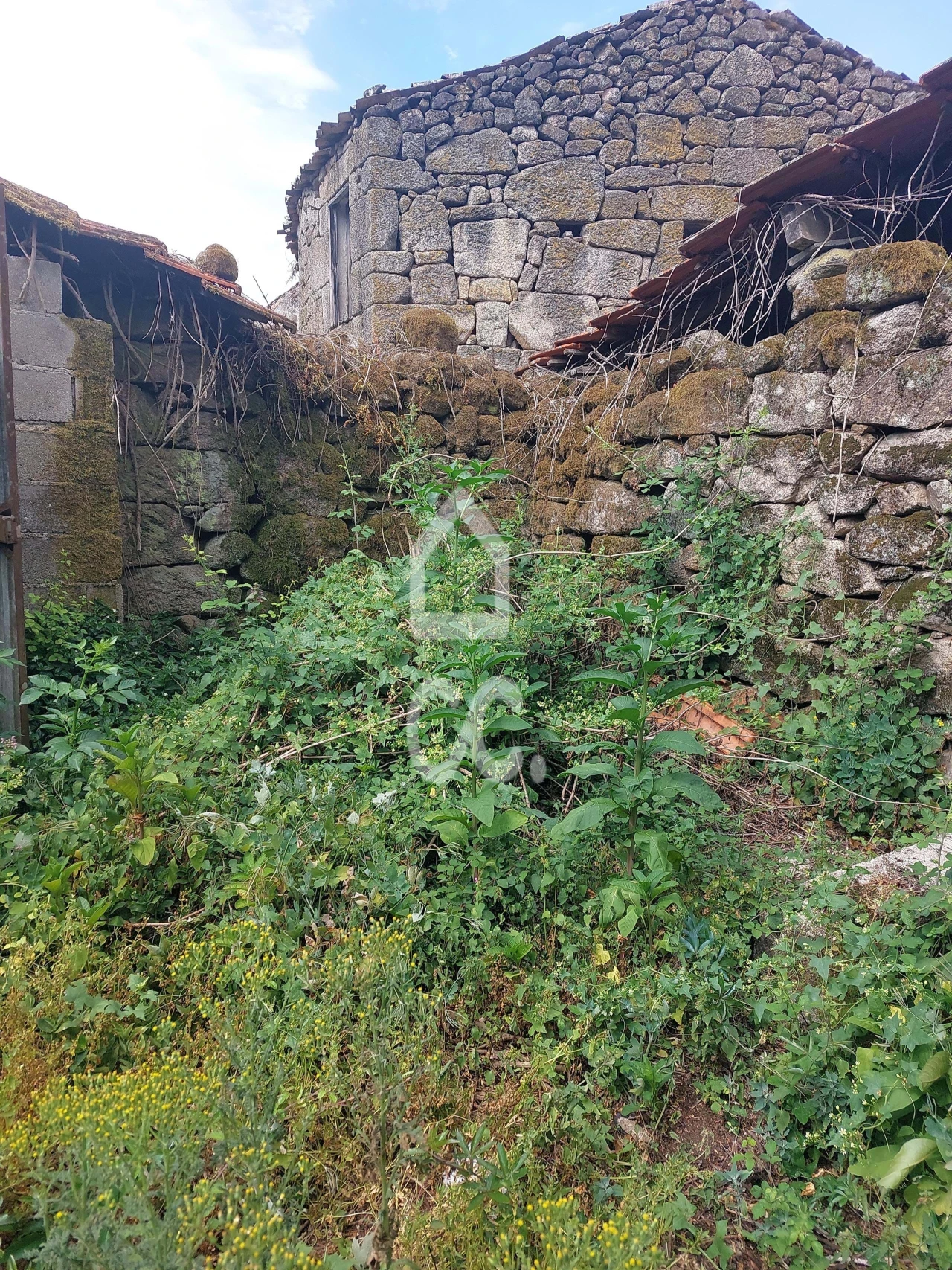 Terreno para Venda em Queirã Foto 13