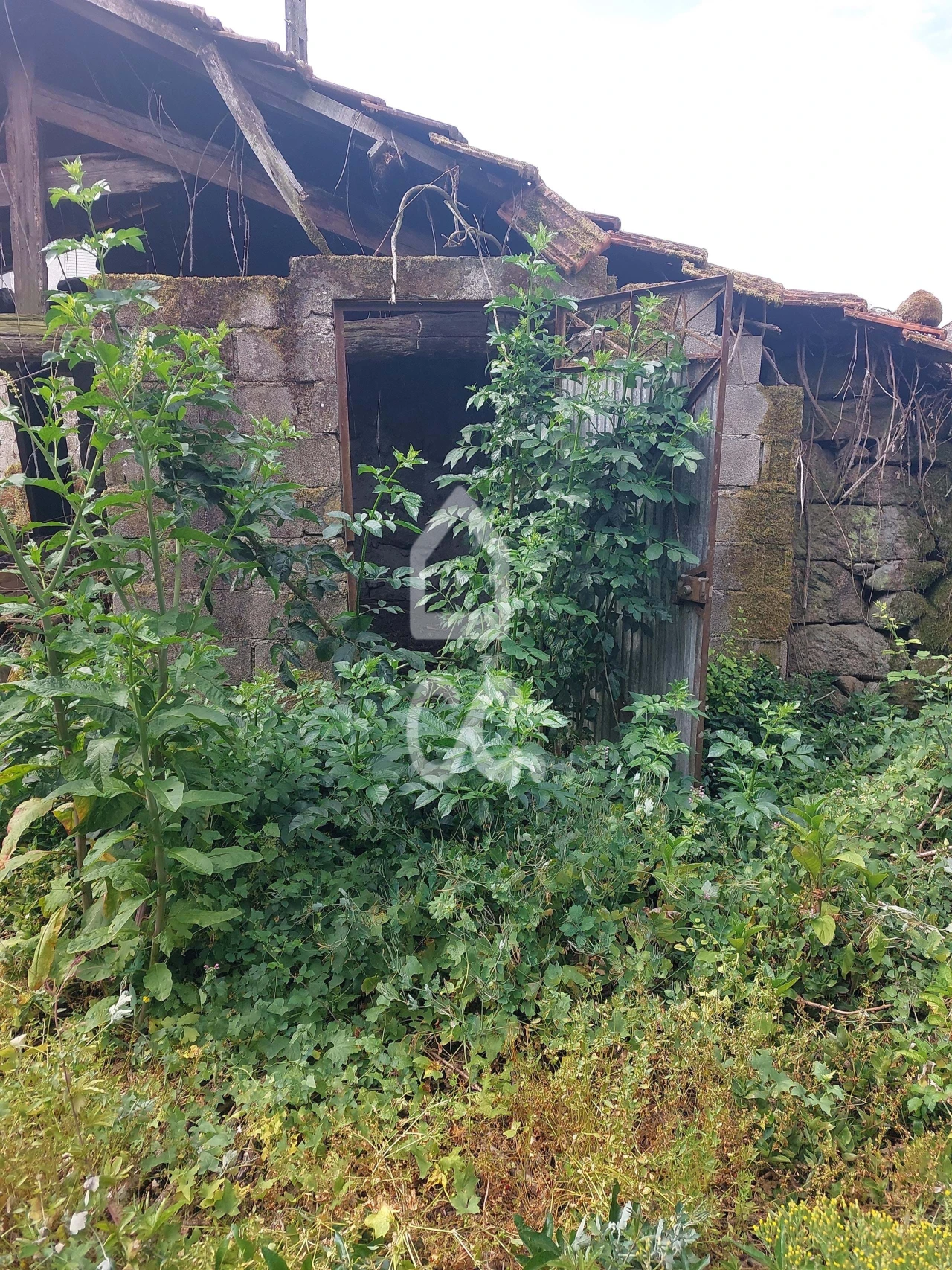 Terreno para Venda em Queirã Foto 14