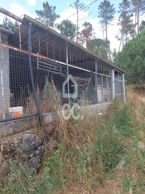 Terreno para Venda em Ranhados