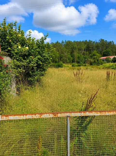 Terreno para Venda em Ranhados
