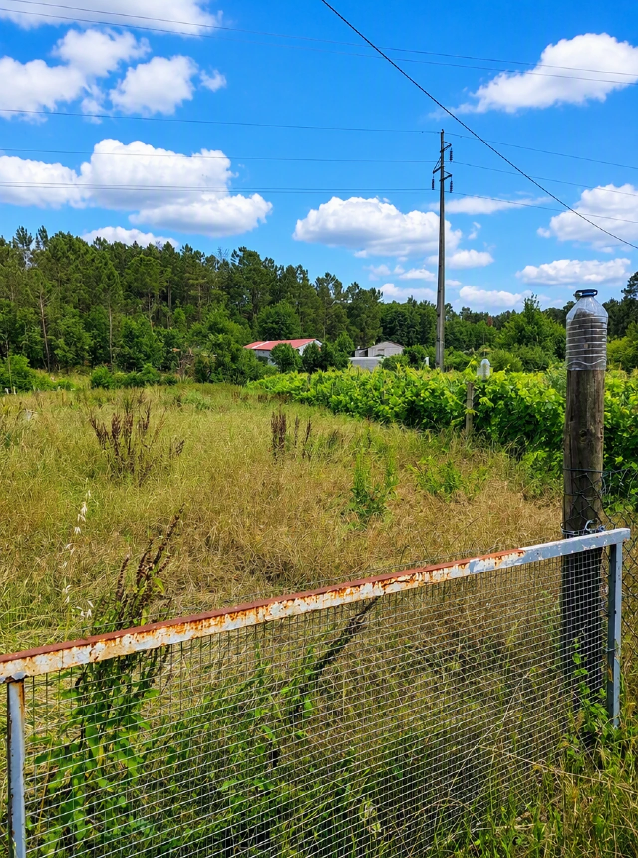 Terreno para Venda em Ranhados Foto 6