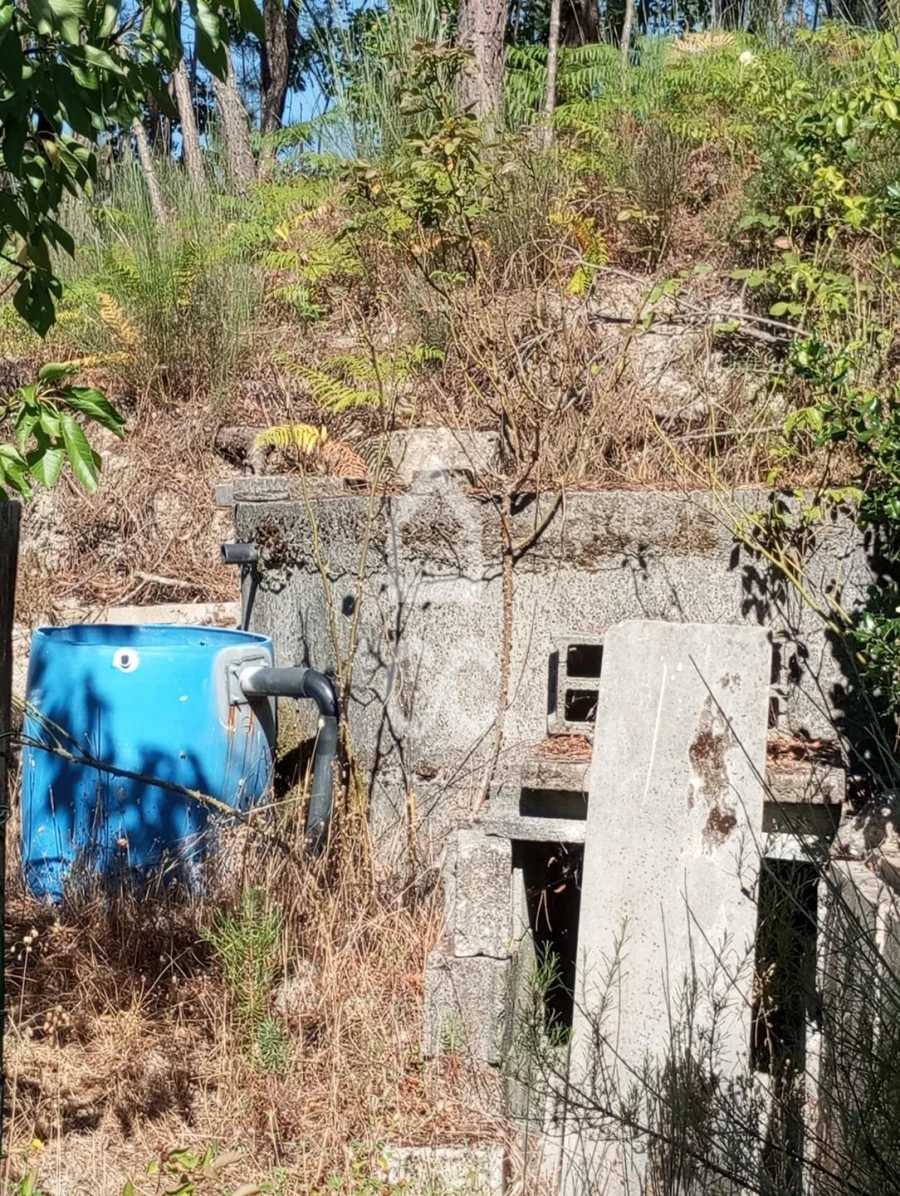 Terreno para Venda em Ranhados Foto 11