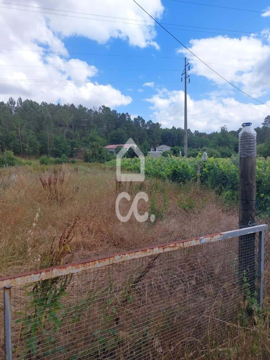 Terreno para Venda em Ranhados Foto 6