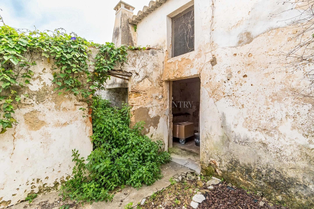 Terreno para Venda em Tavira (Santa Maria e Santiago) Foto 5