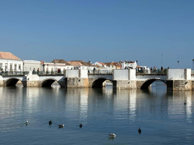 Terreno para Venda em Tavira (Santa Maria e Santiago) Foto 9