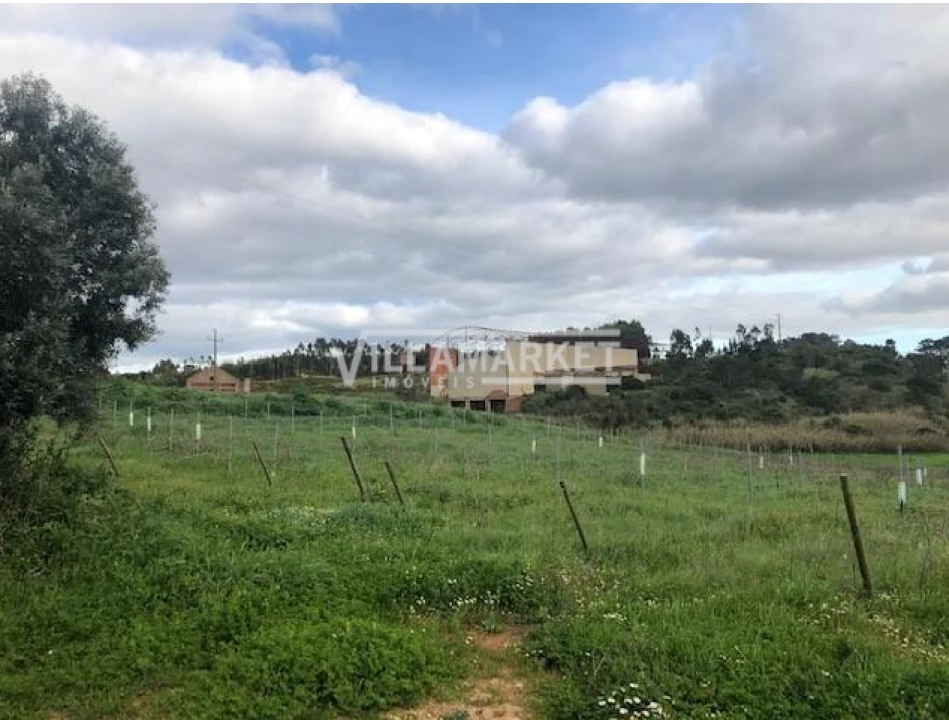 Armazém para Venda em Ventosa Foto 6