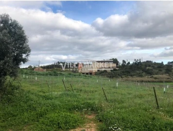 Armazém para Venda em Ventosa