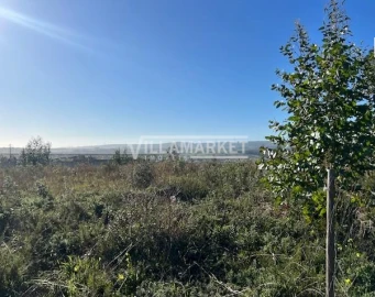 Armazém para Venda em Ventosa