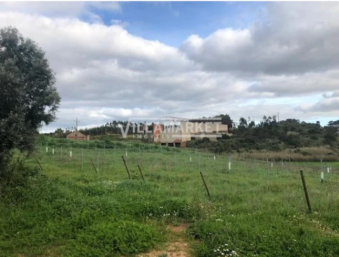 Armazém para Venda em Ventosa Foto 6