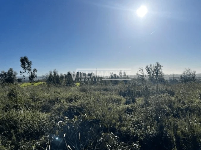 Armazém para Venda em Ventosa Foto 8