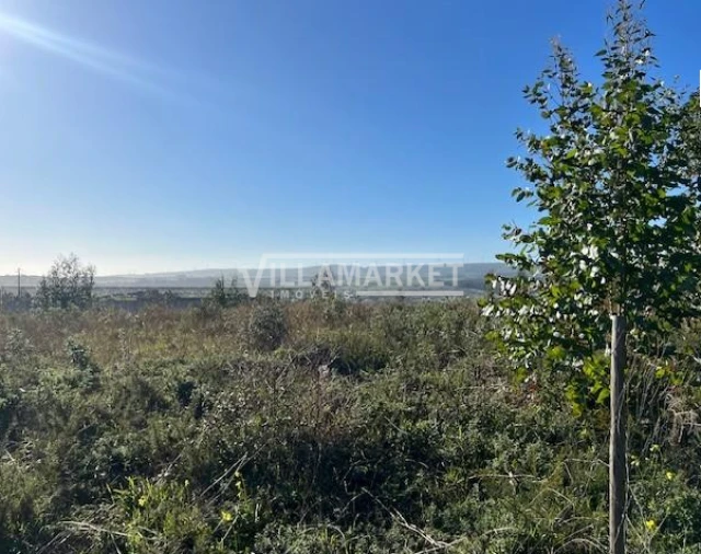 Armazém para Venda em Ventosa Foto 9