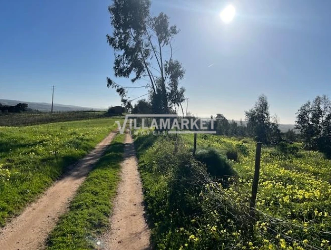 Armazém para Venda em Ventosa Foto 11