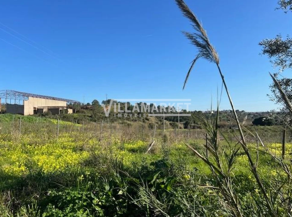 Armazém para Venda em Ventosa Foto 7