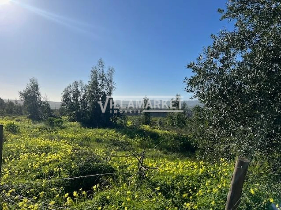 Armazém para Venda em Ventosa Foto 10
