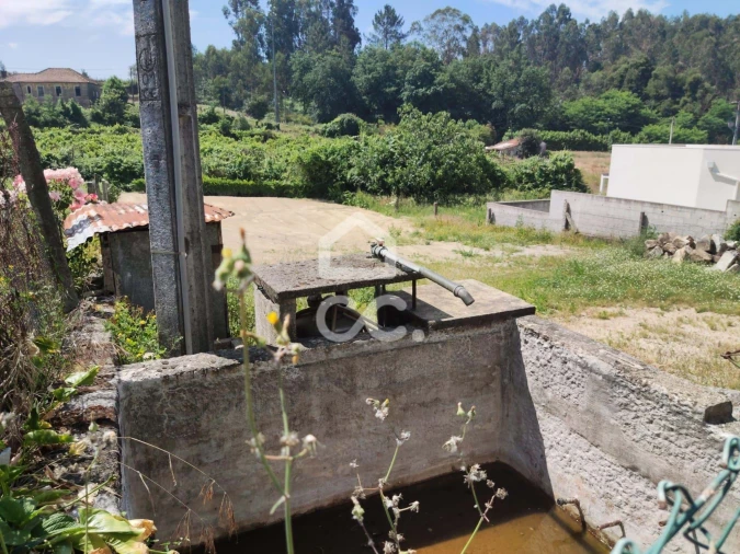 Terreno para Venda em Nespereira e Casais Foto 7