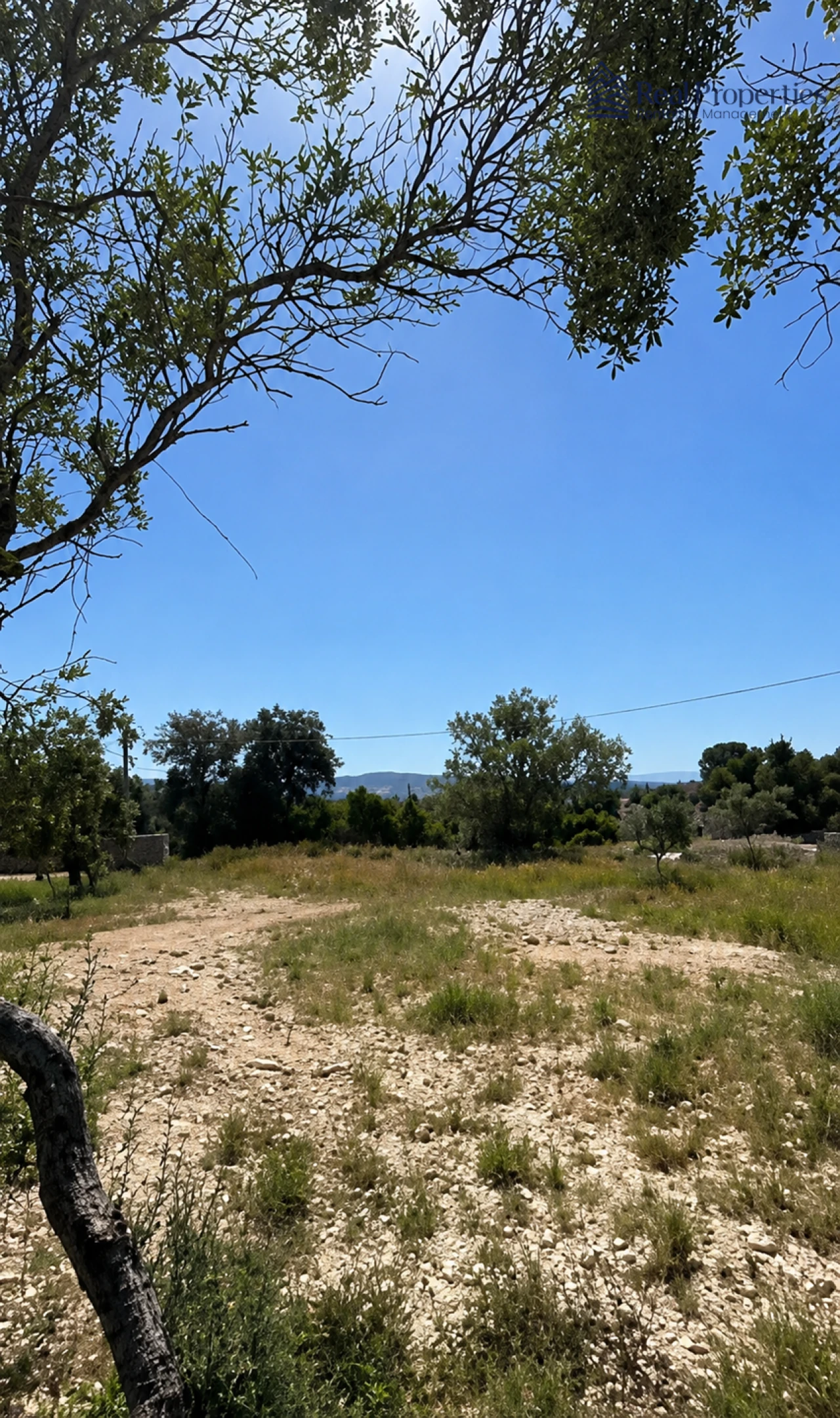 Terreno para Venda em Loule (São Sebastião) Foto 11