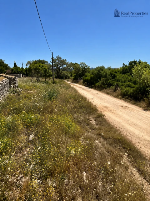 Terreno para Venda em Loule (São Sebastião)