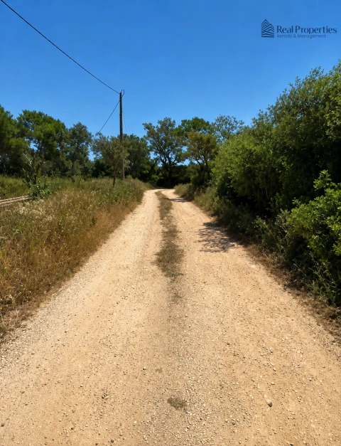 Terreno para Venda em Loule (São Sebastião)