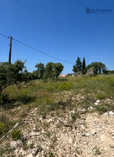 Terreno para Venda em Loule (São Sebastião)