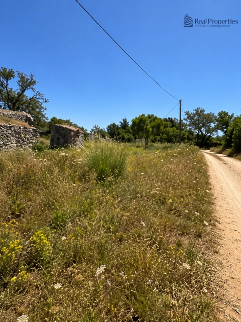 Terreno para Venda em Loule (São Sebastião)