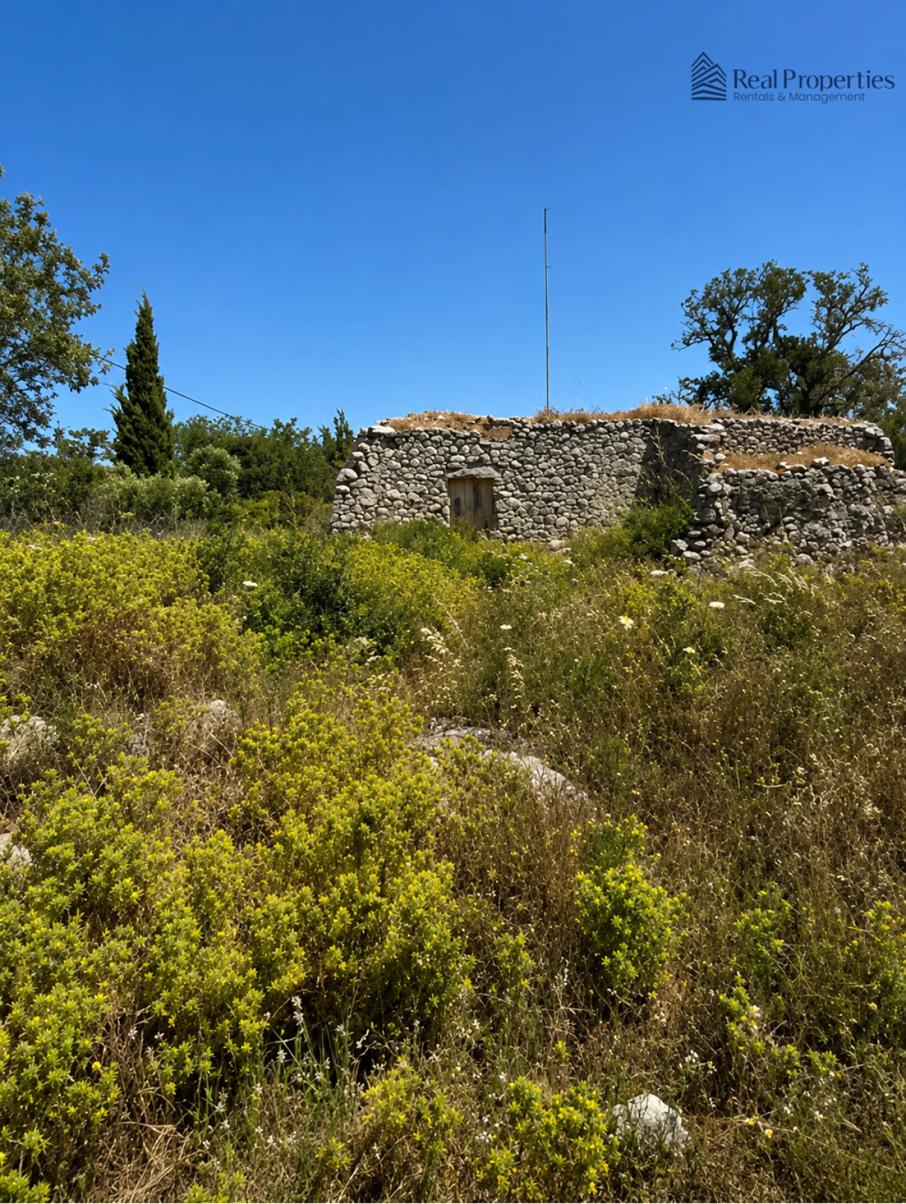 Terreno para Venda em Loule (São Sebastião) Foto 2