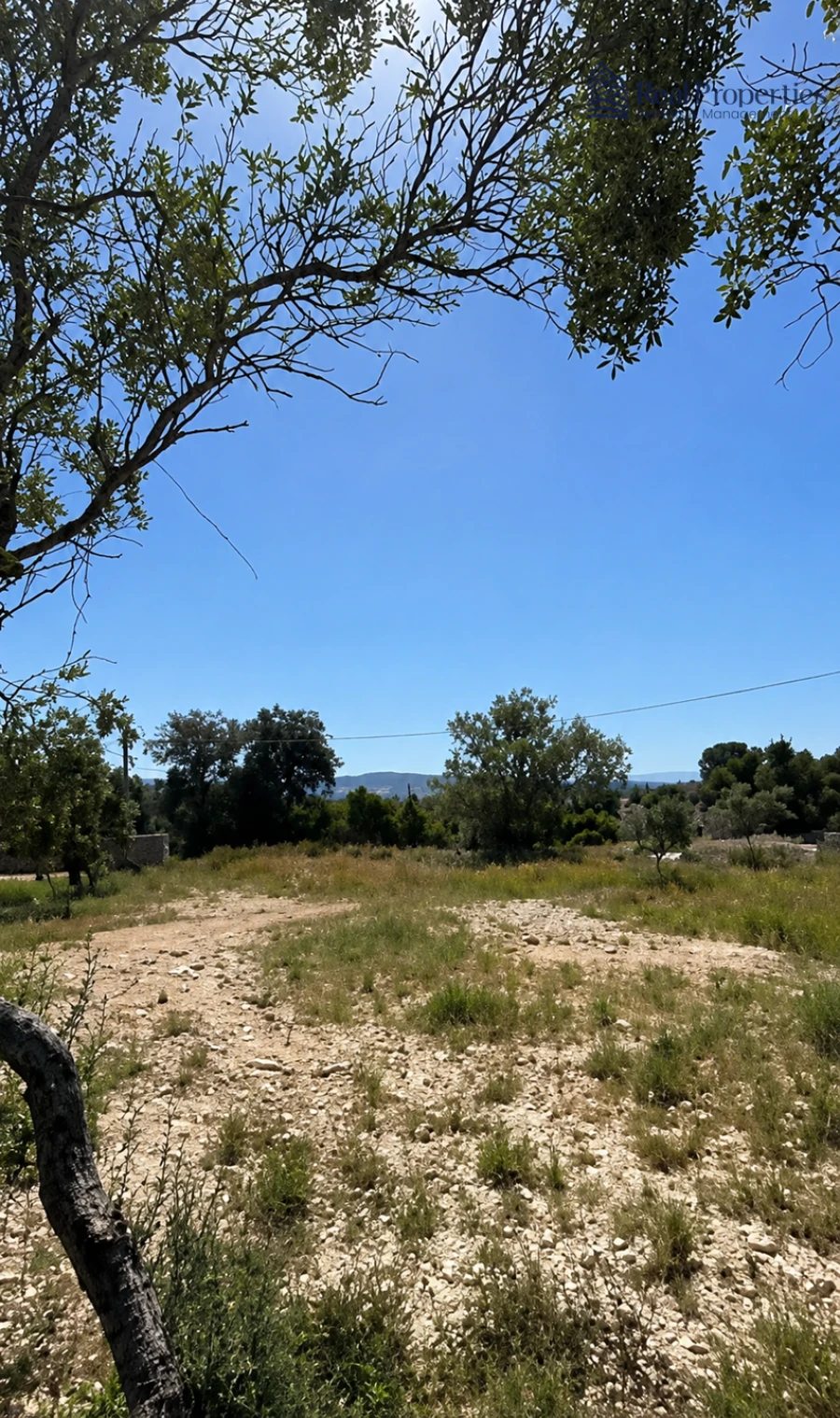 Terreno para Venda em Loule (São Sebastião) Foto 11