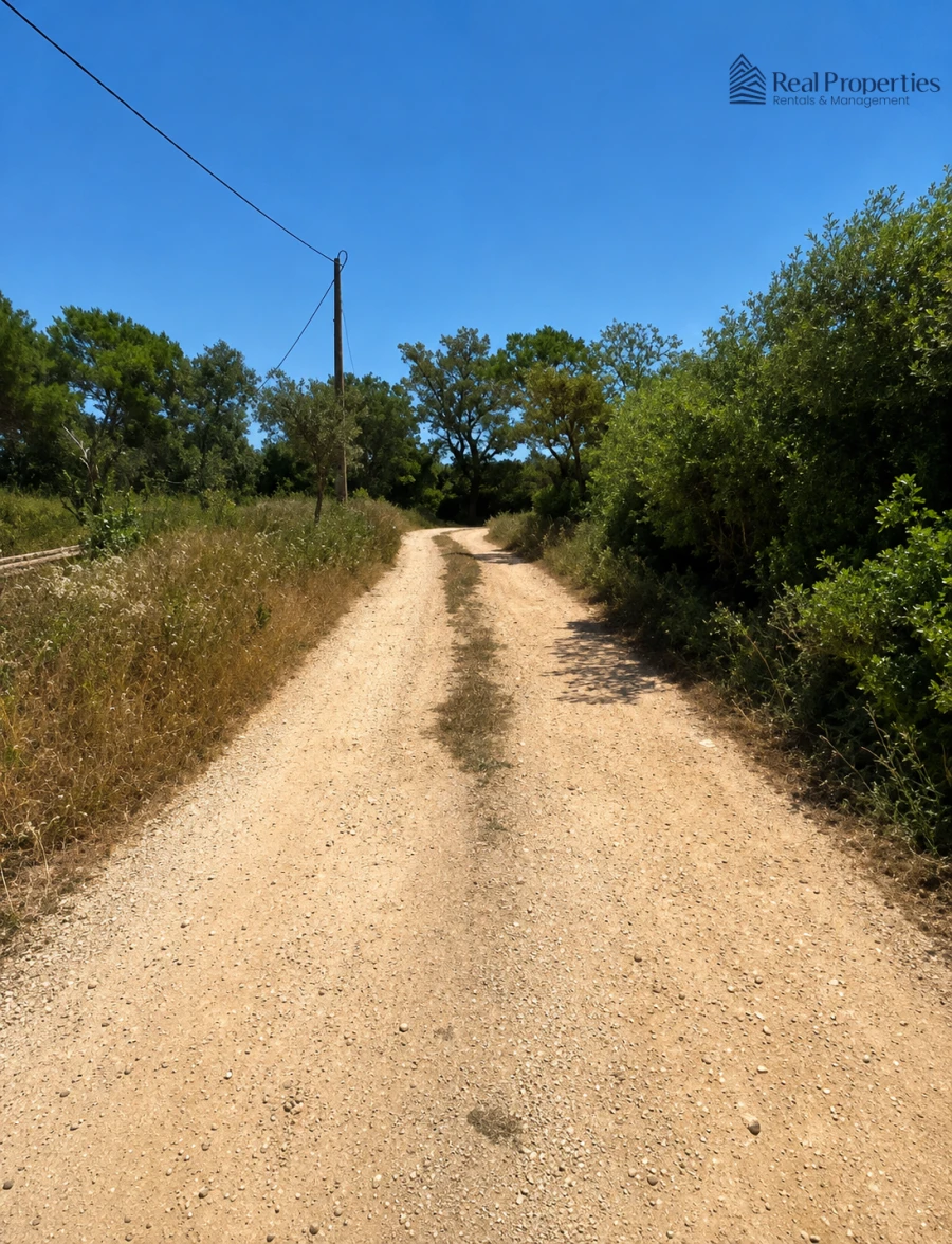 Terreno para Venda em Loule (São Sebastião) Foto 8