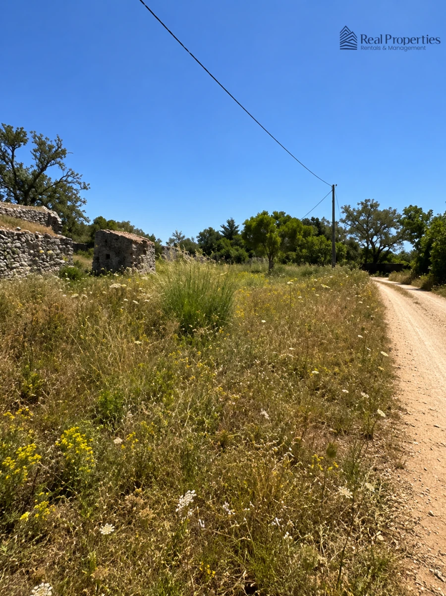Terreno para Venda em Loule (São Sebastião) Foto 7