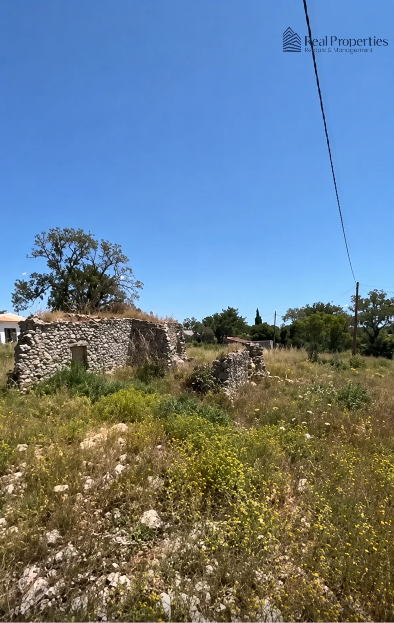 Terreno para Venda em Loule (São Sebastião) Foto 12