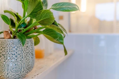 Apartamento T3 para Arrendamento em São Vicente