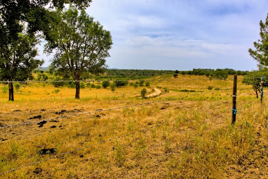Quinta T4 para Venda em Santiago do Cacém, Santa Cruz e São Bartolomeu da Serra Foto 3